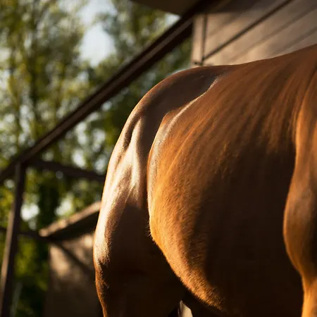 Resort Relais Sassa Al Sole