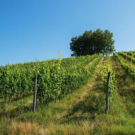 Relais Sassa Al Sole