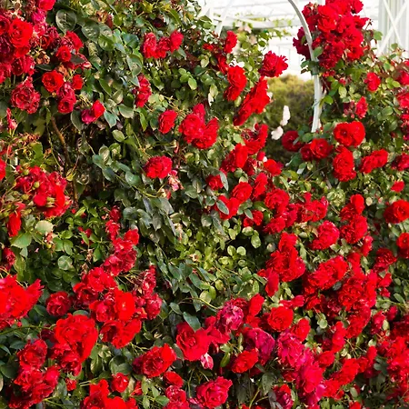 Relais Sassa Al Sole