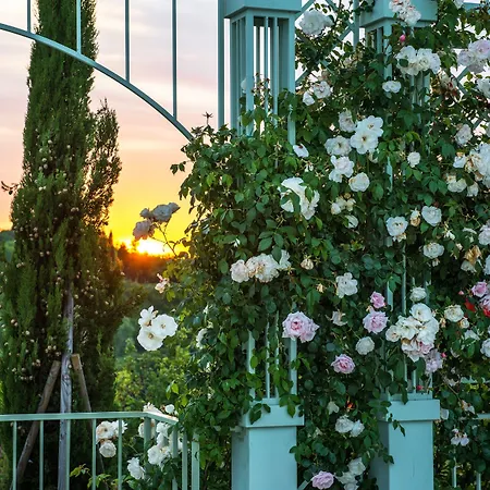 Relais Sassa Al Sole 5* San Miniato